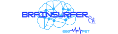 Brainsurfer